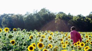 A New Natural Connection is Trending in the Garden