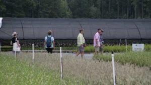 Register Now for This Summer’s Perennial Plant Symposium