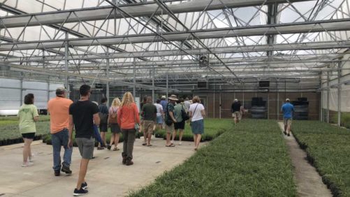 They’ve Done Their Horticulture Homework; Now You Can, Too