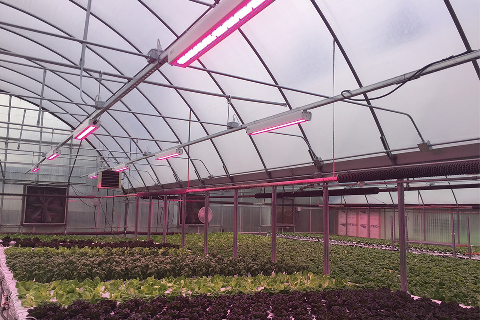 HortiLED-Top-PL-Light-Systems