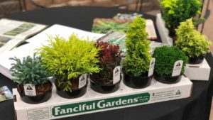 12 Garden Retailer Favorites From Farwest 2018