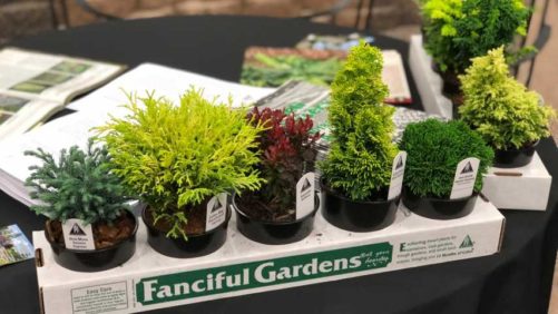 12 Garden Retailer Favorites From Farwest 2018