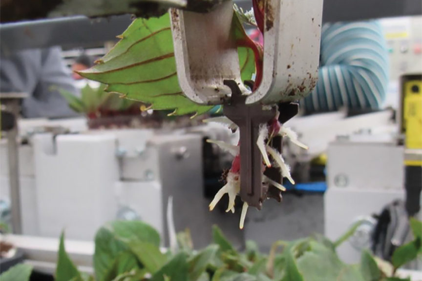 Basewell System