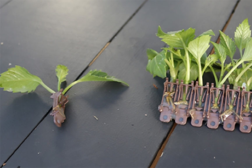 Basewell System