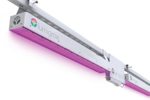 LumiGrow TopLight