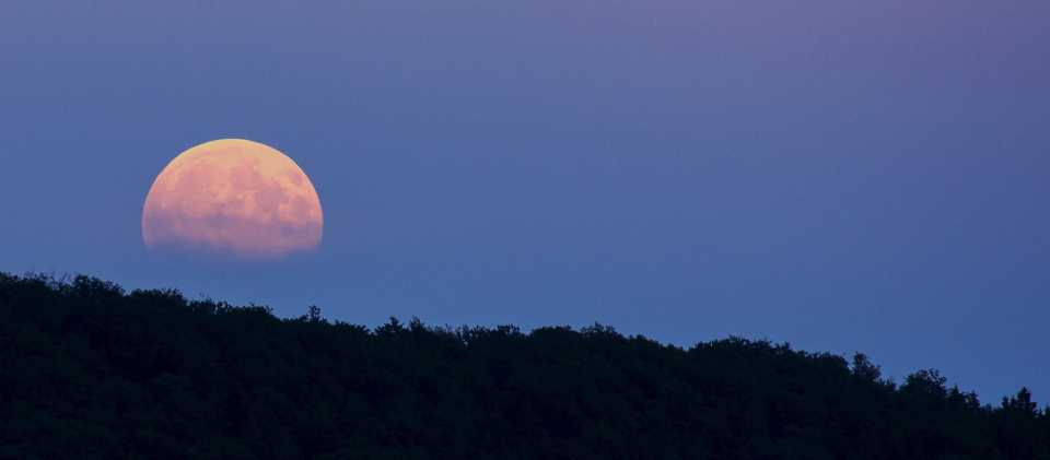 7. Moonstruck