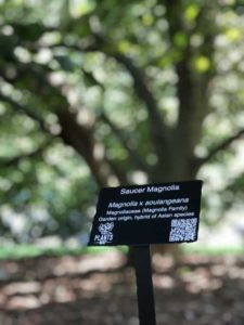 6. RoboGardening