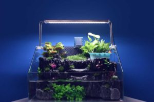6. RoboGardening