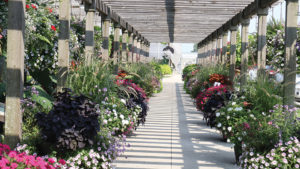 Michigan Garden Plant Tour a Bright Spot to Look For in July