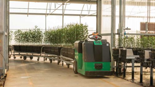 Collaboration Powers Innovation at TreeSource Citrus Nursery