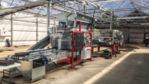 How the COVID-19 Pandemic Has Affected the Horticulture Supply Chain