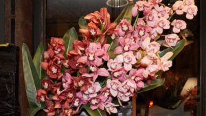 Designer Cut Flowers Bloom Bright in Big Apple
