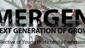 Emergent to Hold Annual Networking Event at MANTS