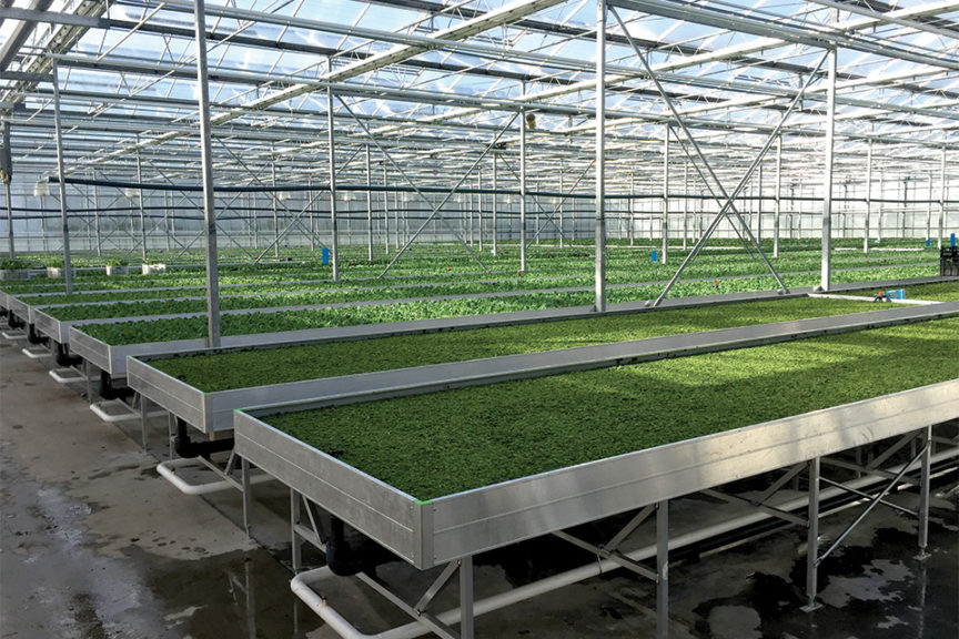 Fixed Benches (KG Systems)