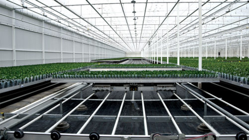 Three Horticulture Suppliers Sound Off on Supply Chain Concerns