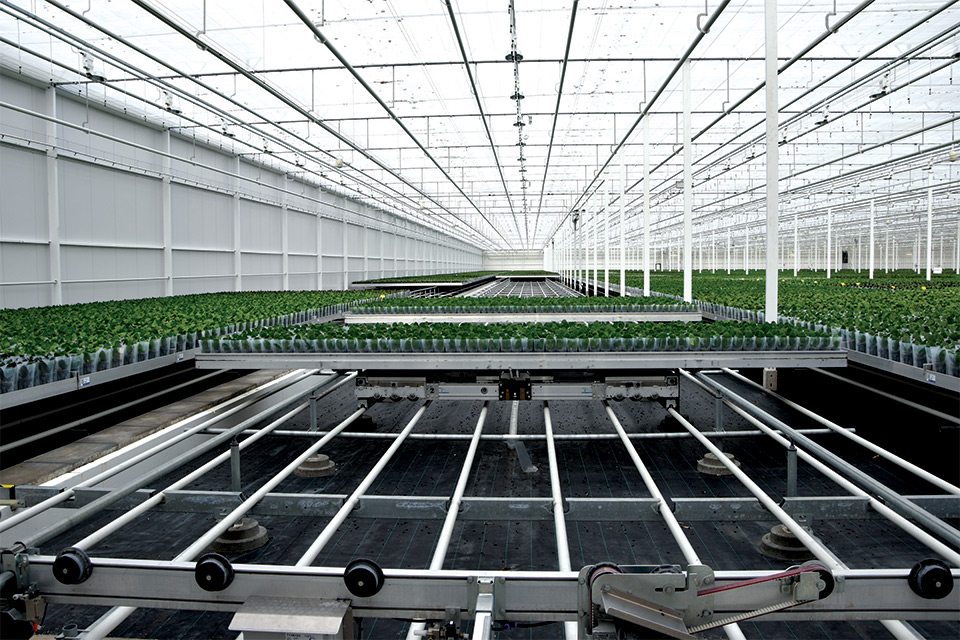 Logiqs-2D-Shuttle-Rolling-Bench-System-Logiqs-HOVE Adapt8