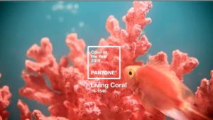 Pantone Looks to the Sea for Its 2019 Color of the Year