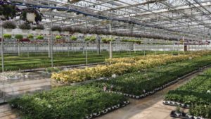 USDA Launches New Crop Insurance Program for Controlled-Environment Growers