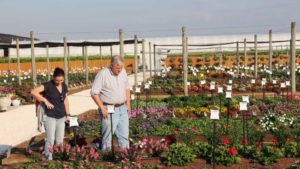 Costa Farms Will Open Its Trial Garden in March 2021