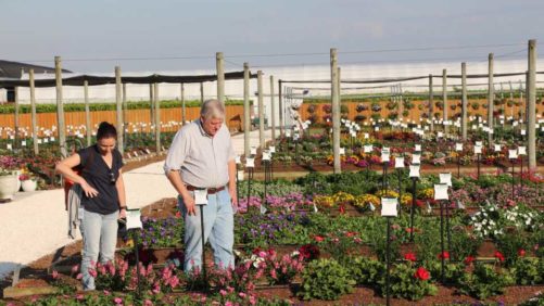Costa Farms Will Open Its Trial Garden in March 2021