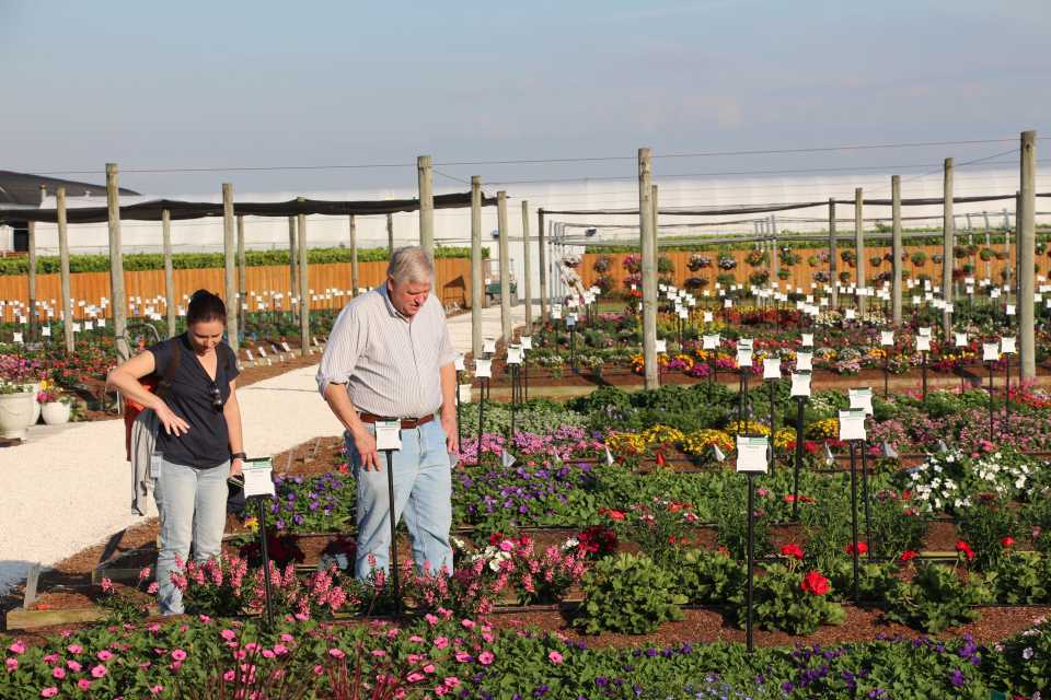 Costa Farms Trial Garden