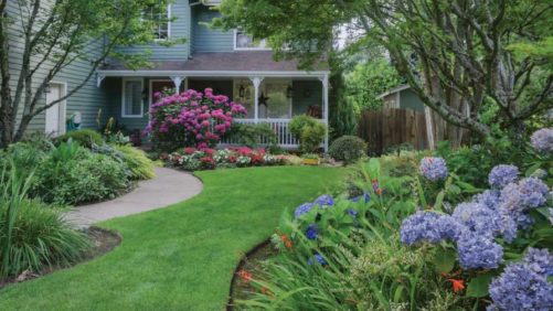 The Green Industry Economic Outlook for 2019