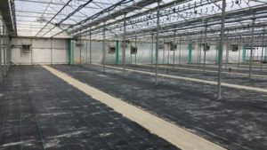 Tips on Preparing Your Greenhouse for Spring