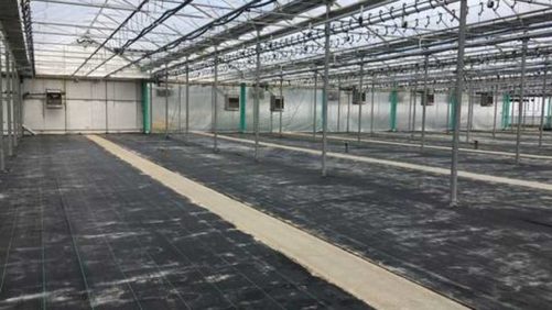Tips on Preparing Your Greenhouse for Spring