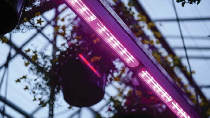 Signify-LEDs-at-Iwasaki