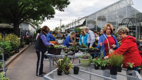 Helping Smaller Growers Build Better Consumer Connections