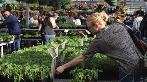 Perspectives on the Future of the Greenhouse Industry