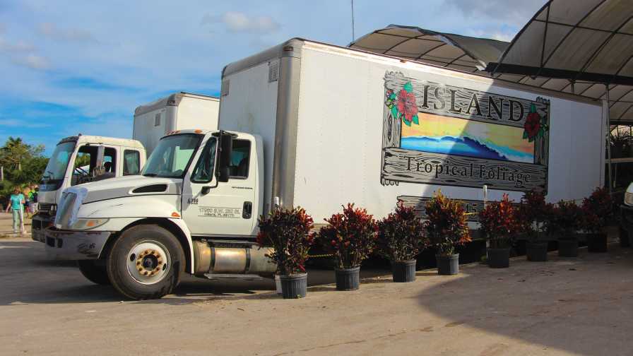 Trucking transportation