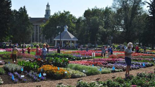 3 Reasons Why Plant Breeders Should Trial Their Varieties