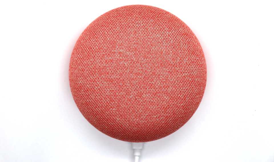 Voice