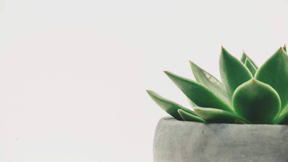 Simplicity