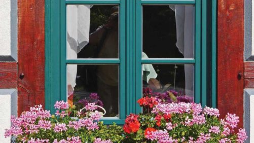 Allan Armitage: Why Gardening Needs to be Part of the Coronavirus Solution