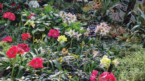 Beautiful Blooms Offer More Opportunities for Profits
