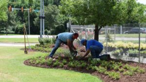 How the Horticulture Industry Can Attract and Retain a High-Quality Workforce