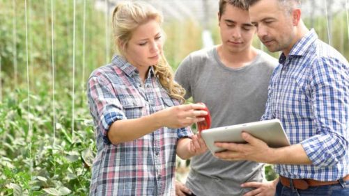Train Your Greenhouse Staffers With Online Courses
