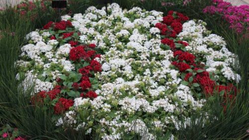 30 Days of California Spring Trials Coming in April