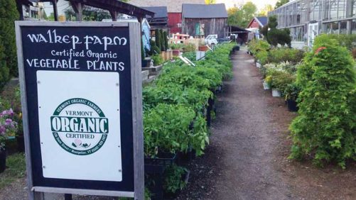 Check Out This New Product Guide for Organic Greenhouse Crop Producers