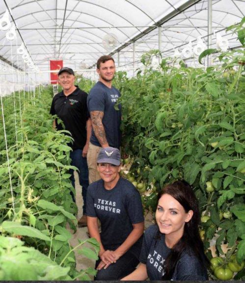 What You Need to Know About Organic Vegetable Production