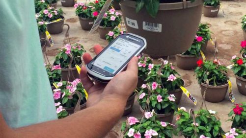 How New Greenhouse Software Systems Can Help Your Business From Front to Back