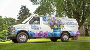 Watch for the Endless Summer Hydrangeas Van This Spring
