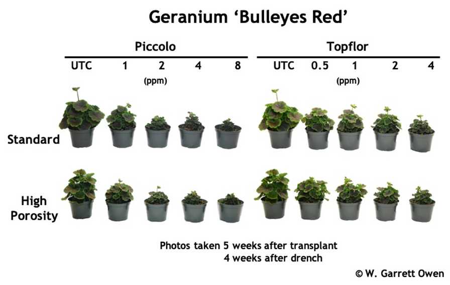 Geranium PGR trial graphic