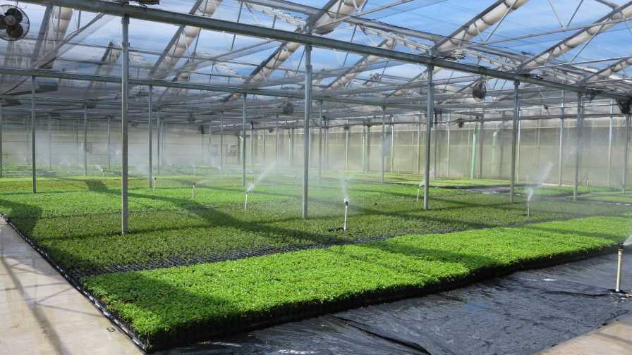 Your Input Needed on Irrigation Survey water testing