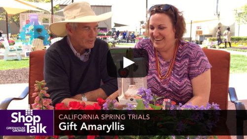 Ball Shows Off New Nepeta, Downy Mildew-Resistant Impatiens at CAST [Video]
