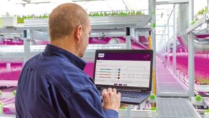 Signify Expands Lighting Control System, Adds Production Line in Mexico