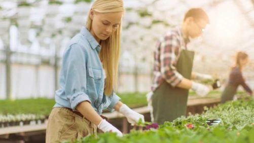Adopting Modern Greenhouse Technology Can Take Pressure Off Your Team