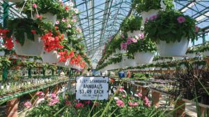 How to Navigate the Plant Pricing Process